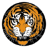 伊斯顿沙伯女足